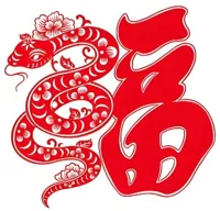 Décoration de fenêtre — année du Serpent — photo 8