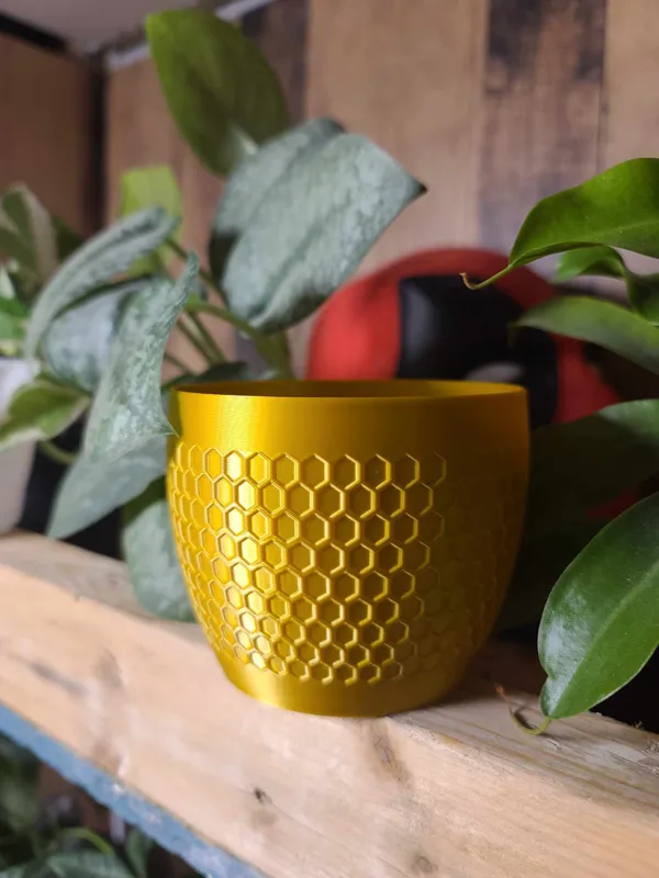 https://makerworld.bblmw.com/makerworld/model/US40c3cd94d0c4c6/design/2024-03-27_1859ab201807a.jpg