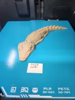 Single Color 0.2mm layer, 2 walls, 10% infill