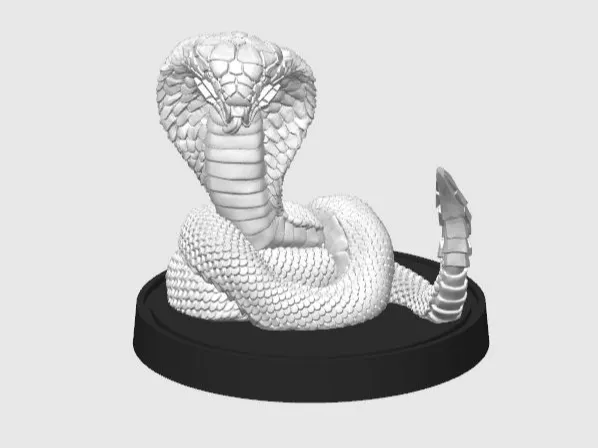 https://makerworld.bblmw.com/makerworld/model/US40ca5b57ee938a/design/2025-12-21_637f97c0eb5cb8.jpg