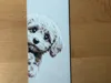 0.08mm layer, 2 walls, 100% infill