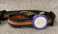 Porte-AirTag pour collier de chien (modèle fendu) — photo 3