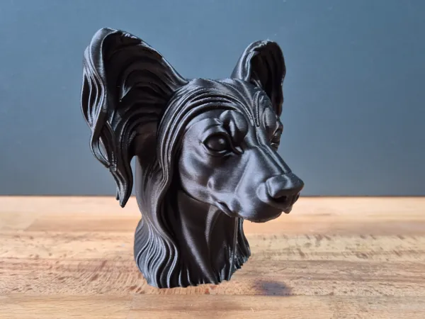 https://makerworld.bblmw.com/makerworld/model/US40cd420b934ca1/design/2025-05-24_61e0233e2b6e28.jpg