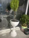 0.24mm layer, 2 walls, 15% infill