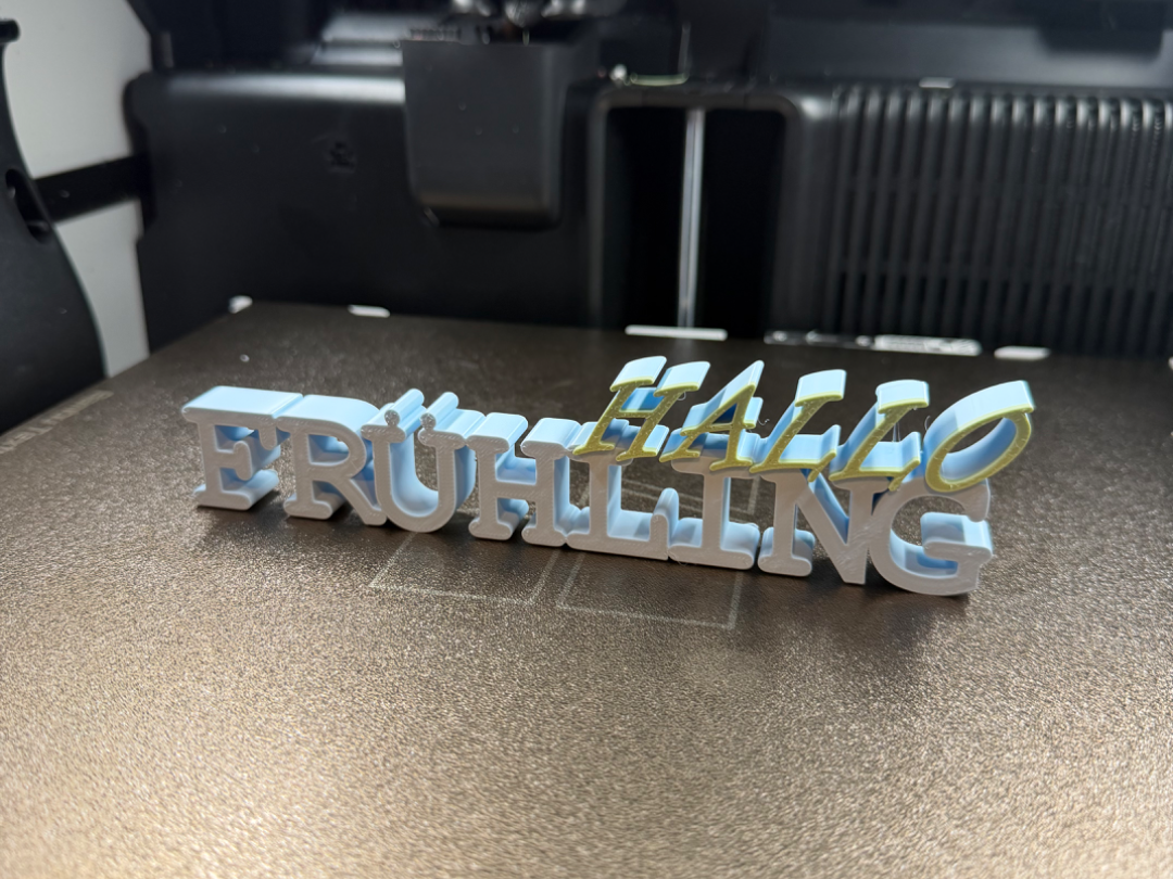 0Frühlings Schriftzug Hallo Frühling Deko