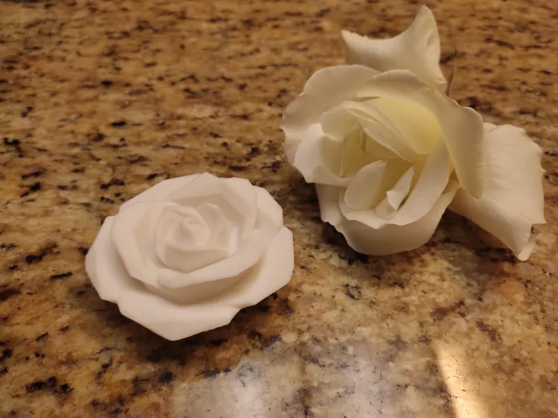 Geometric Rose