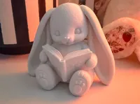 0.2mm layer, 2 walls, 5% infill