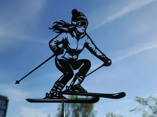 Ski Action Woman 2D Wall Art