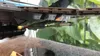 F14 Fuselage Version AMS