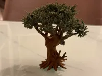 Olive Tree V1 