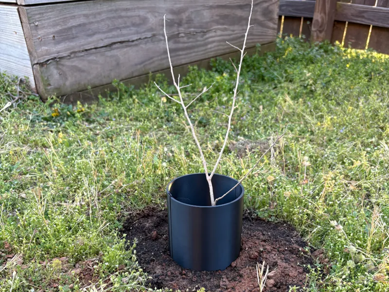 Tree Protectors 