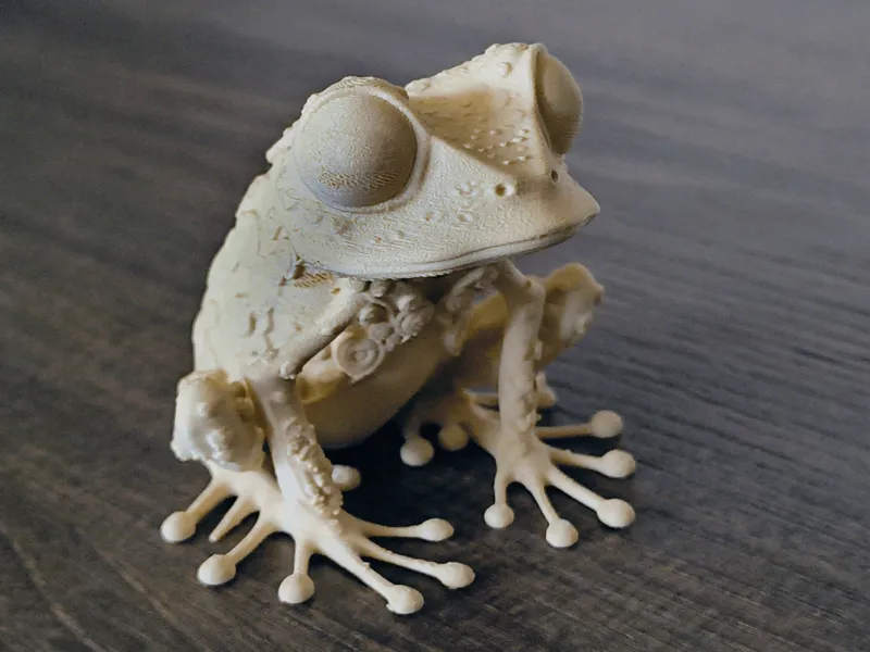 Lucky Bloom Frog
