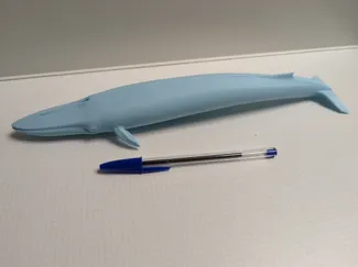 Blue Whale