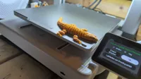 65% smaller Version
