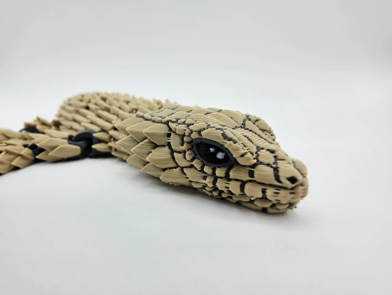 Flexi Armadillo Girdled Lizard view 3