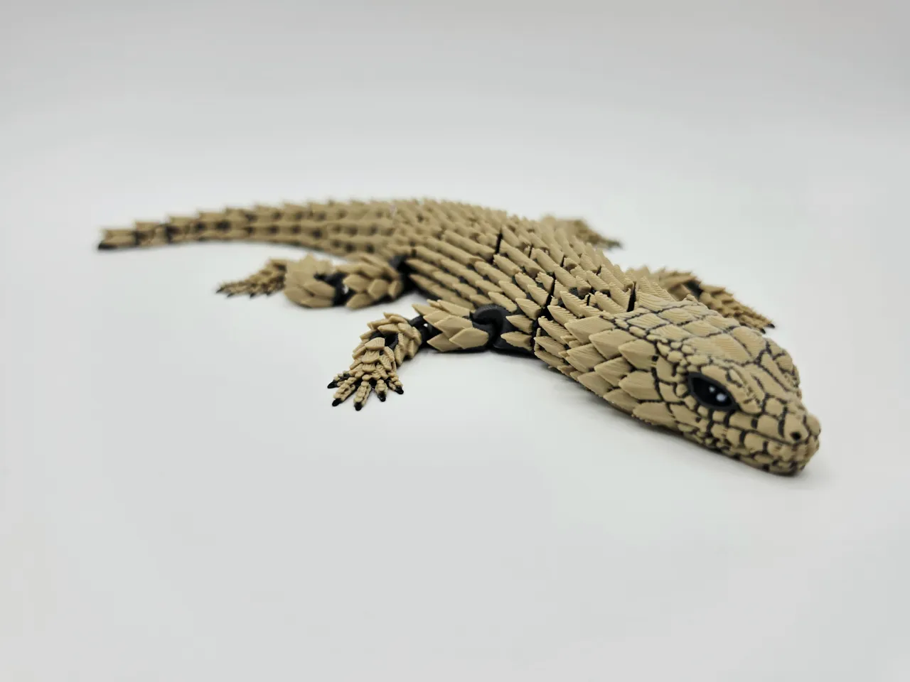Flexi Armadillo Girdled Lizard view 4