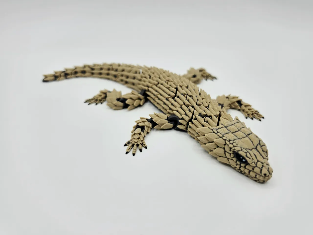 Flexi Armadillo Girdled Lizard view 2