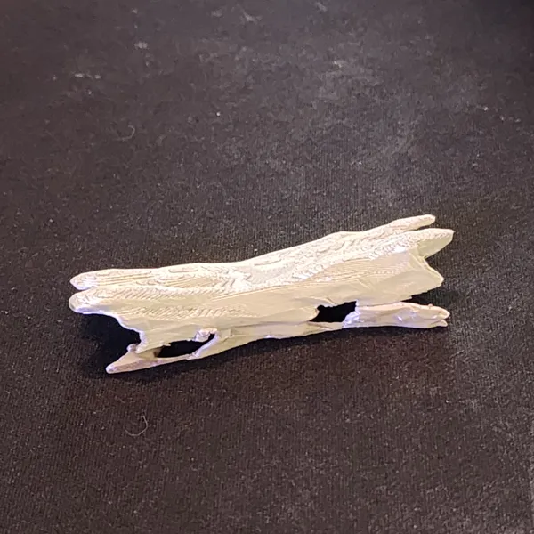 https://makerworld.bblmw.com/makerworld/model/US40e5367481f91d/design/2024-01-31_f67080f664442.jpg