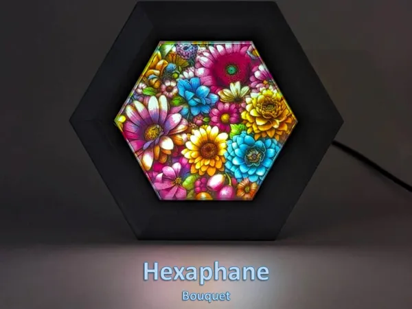 https://makerworld.bblmw.com/makerworld/model/US40e6c61633cd90/design/2023-12-20_34f3fee1b923c8.jpg