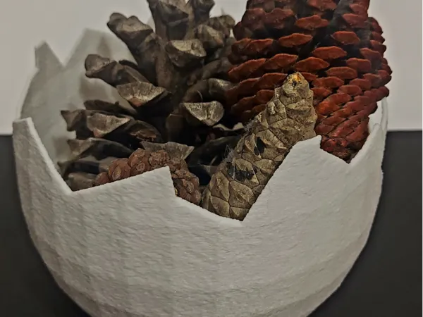 https://makerworld.bblmw.com/makerworld/model/US40ebc51ea1c5ba/design/2025-03-05_9a40e4fc2a83b.jpg