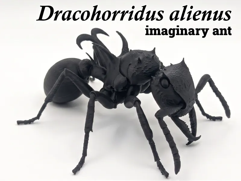 Dracohorridus alienus Imaginary ant