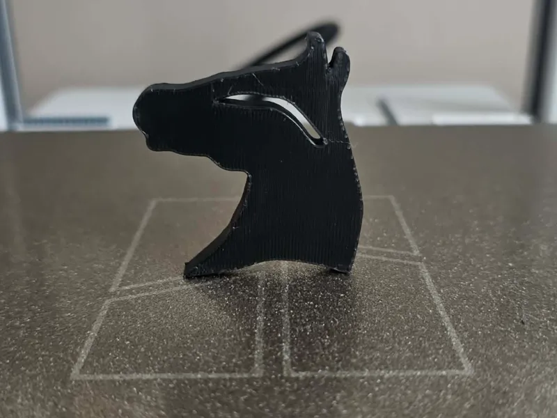Horse Head