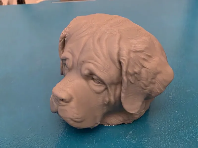 Saint Bernard Head
