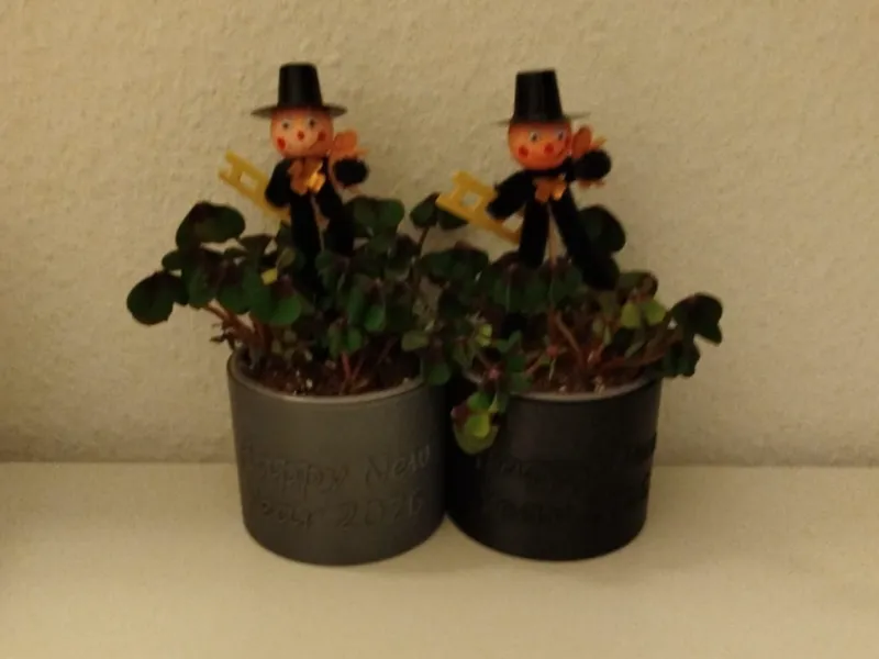 Glücksklee Blumentopf