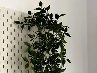 IKEA FEJKA Pflanzentopf für IKEA Skadis 