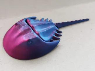 Articulated Horseshoe Crab