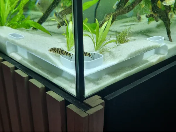 Tunnel d'angle pour aquarium