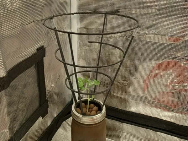 https://makerworld.bblmw.com/makerworld/model/US410ea9760f7e34/design/2025-05-09_282d772e029ce8.jpeg