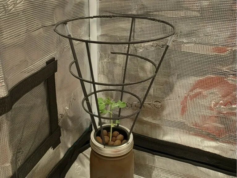 Mason jar trellis