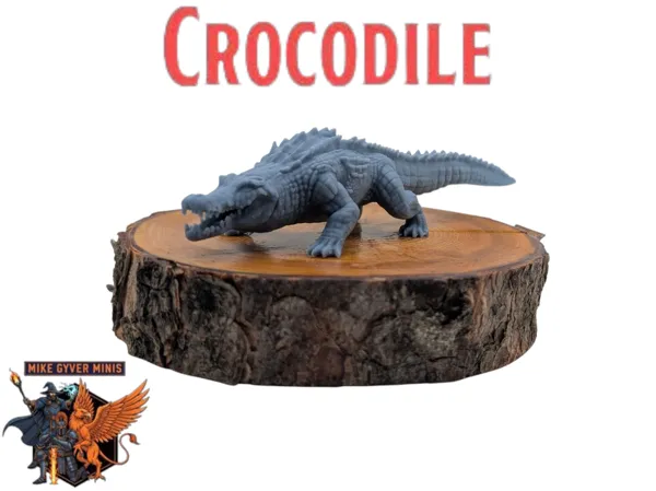 https://makerworld.bblmw.com/makerworld/model/US4112a0467ada56/design/2025-10-20_5f8ba1b049832.png