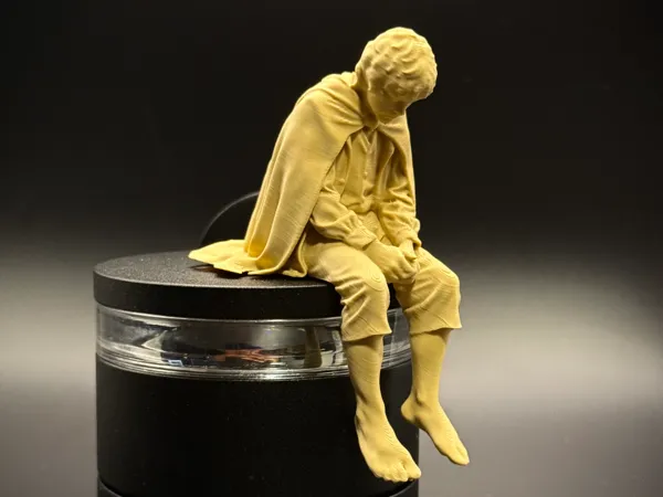 https://makerworld.bblmw.com/makerworld/model/US411360bcb95fdf/design/dc7d5b3a6d3cd062.jpeg