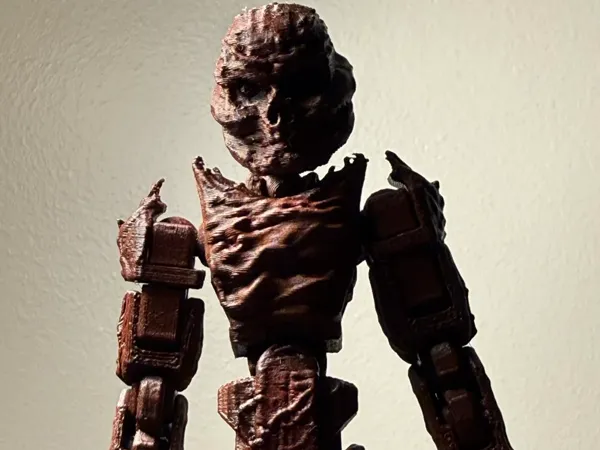 https://makerworld.bblmw.com/makerworld/model/US4114ca56cdb922/design/795f74738edb09fa.webp