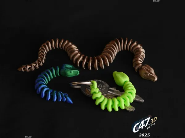 https://makerworld.bblmw.com/makerworld/model/US411635c8af5862/design/2025-01-07_babe4f38b4142.jpg