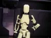 Armor and Skeleton 