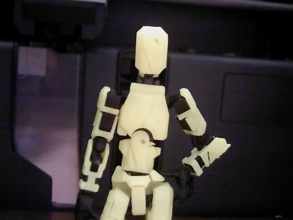 https://makerworld.bblmw.com/makerworld/model/US41185fe926f885/design/16bcdcaa5d42e083.jpg
