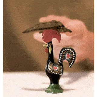 Balancing Bird view 3