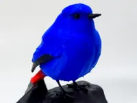 多色打印版本
