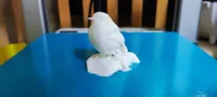 白模版本