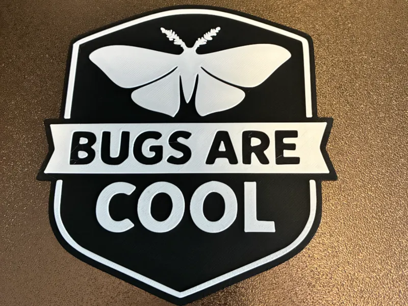 Bugs are Cool