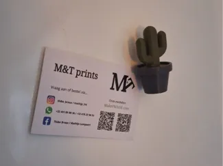 cactus magnet