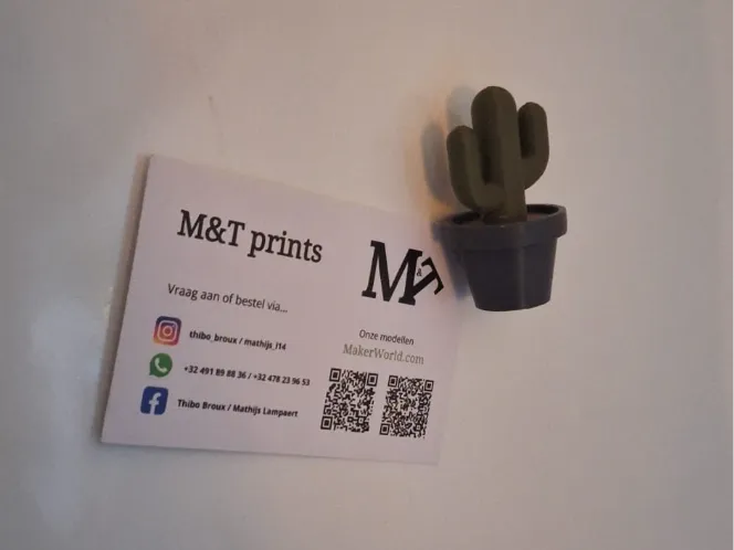cactus magnet
