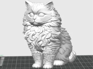 hairy cat