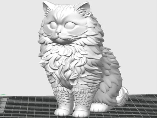 Chat poilu