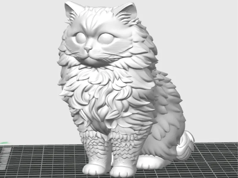 hairy cat