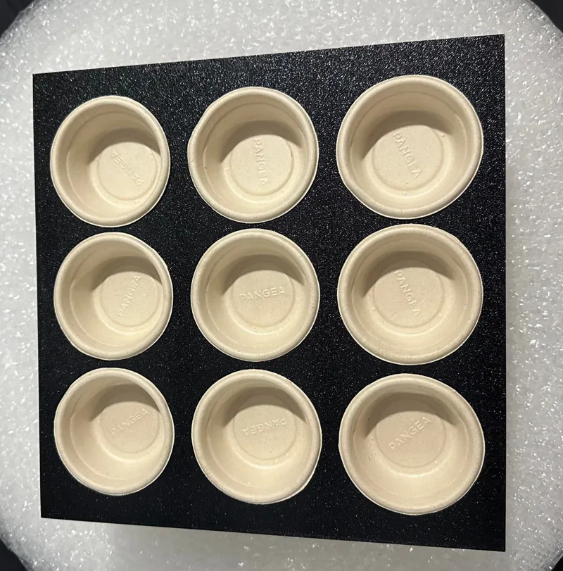 Gecko Food Prep Tray