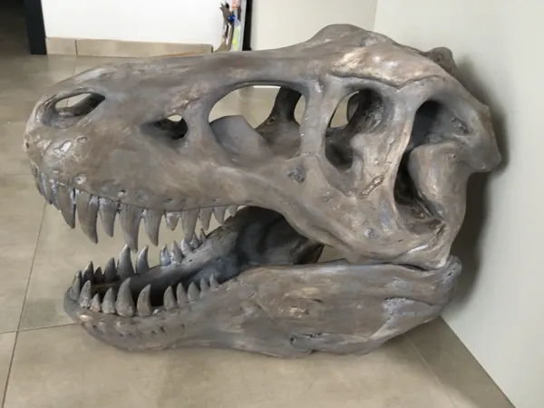 https://makerworld.bblmw.com/makerworld/model/US41402a292178ef/design/2025-07-21_073180bc1cf6f.jpg
